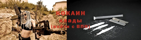 стафф Осинники