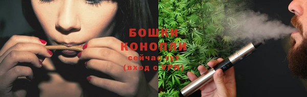 МДПВ Осташков