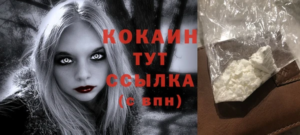 МДПВ Осташков