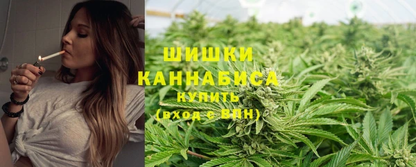 МДПВ Осташков