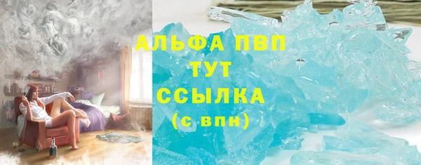 стафф Осинники
