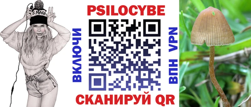 Галлюциногенные грибы ЛСД  Камышин 